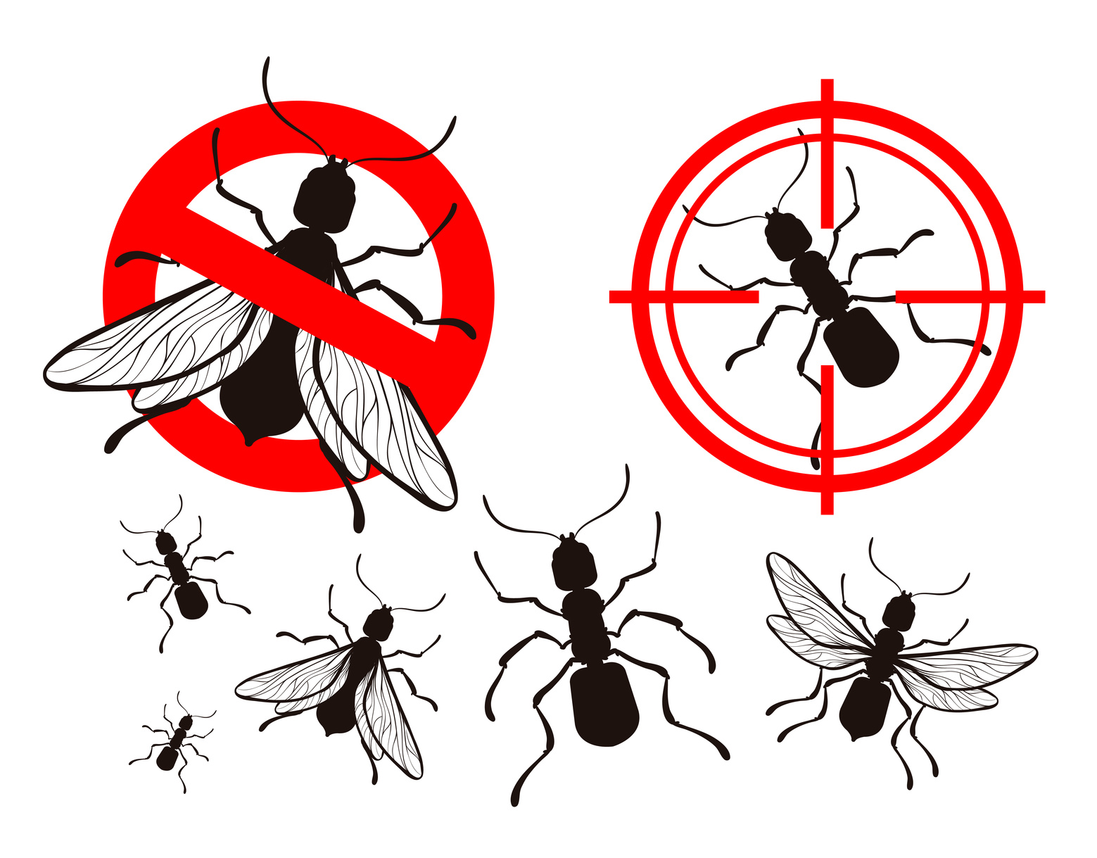 Kennewick Insect Control