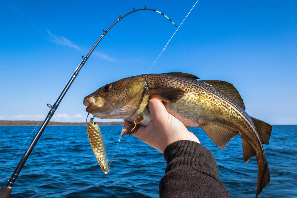 Designing a Fishing Logo to Reel in Charters • Online Logo Maker's Blog