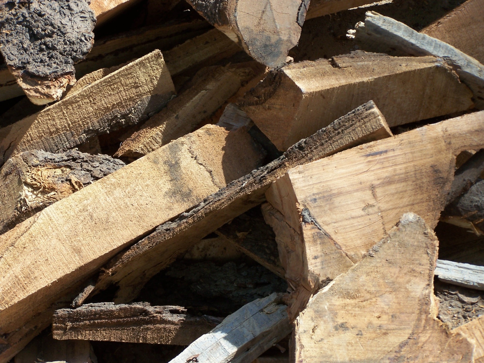 Pile of Wood