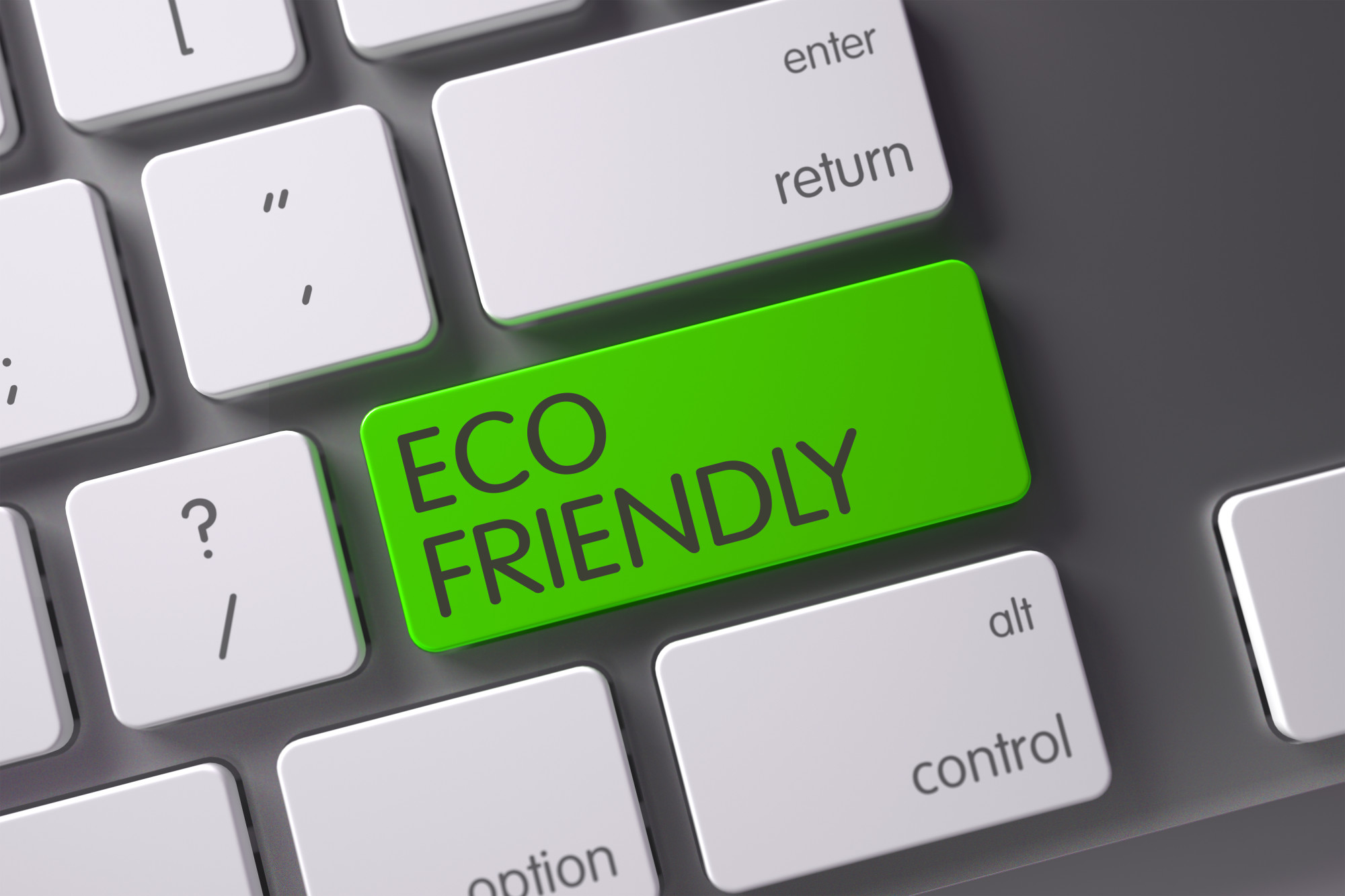 Eco-Friendly Business