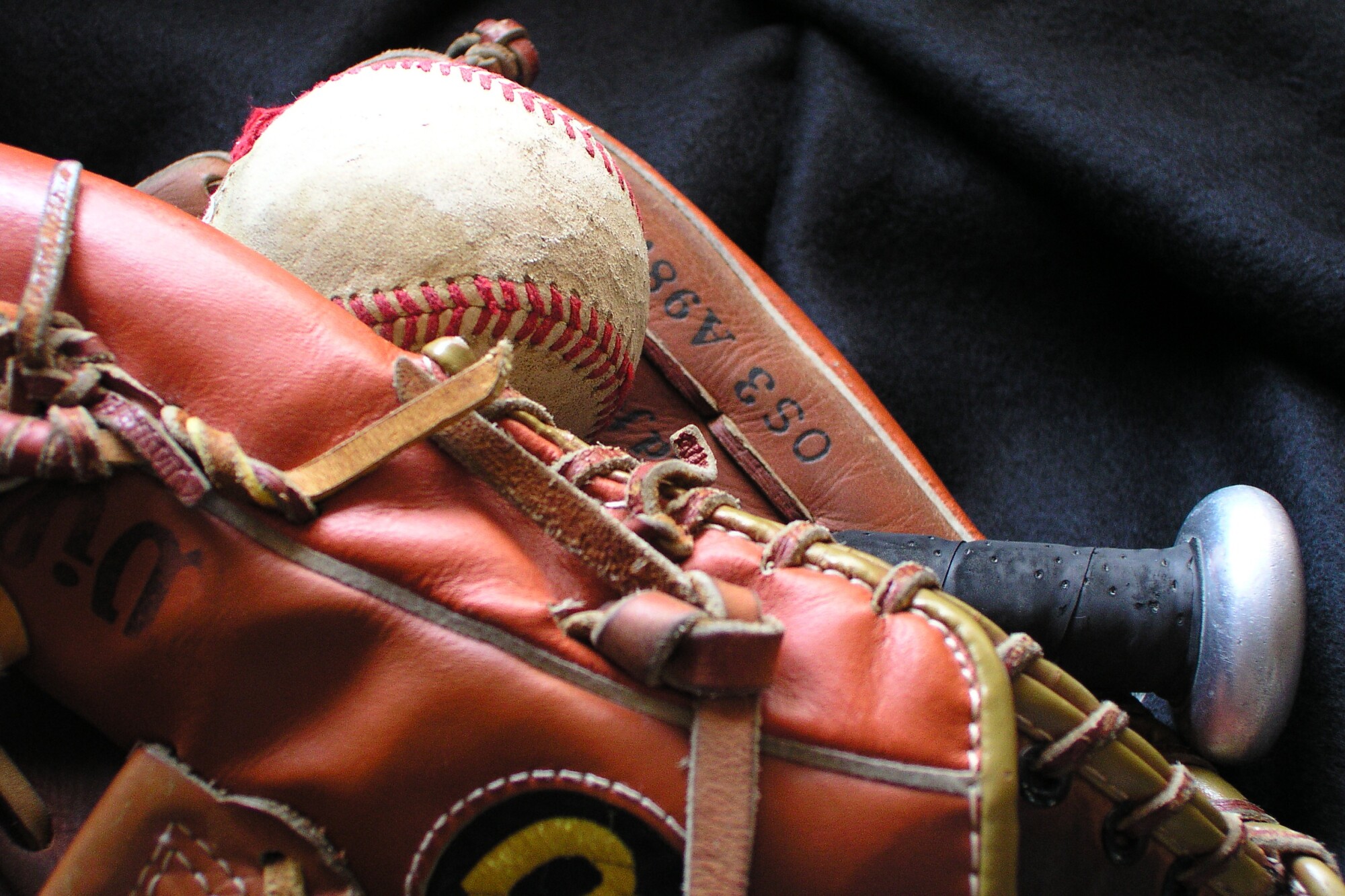 Baseball Gear That All Beginners Need